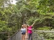 tourists on the suspension bridge